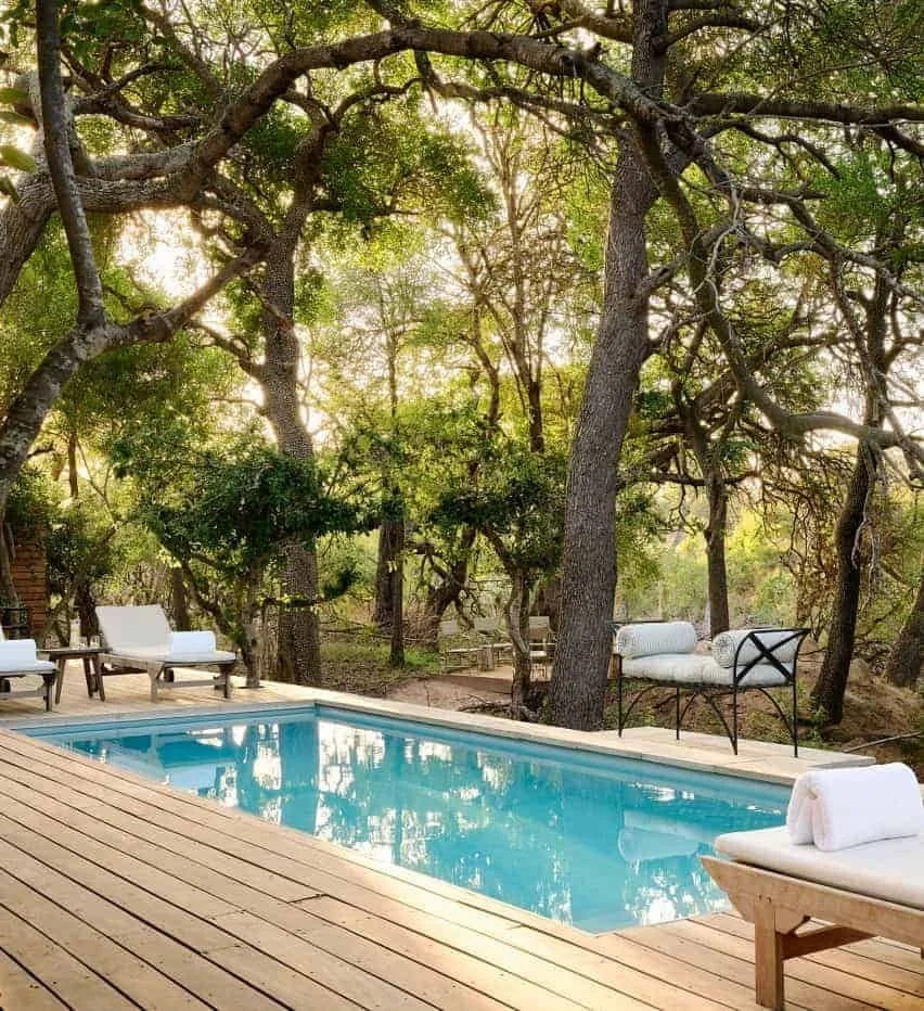 Suite von Royal Malewane mit Pool zwischen alten Bäumen