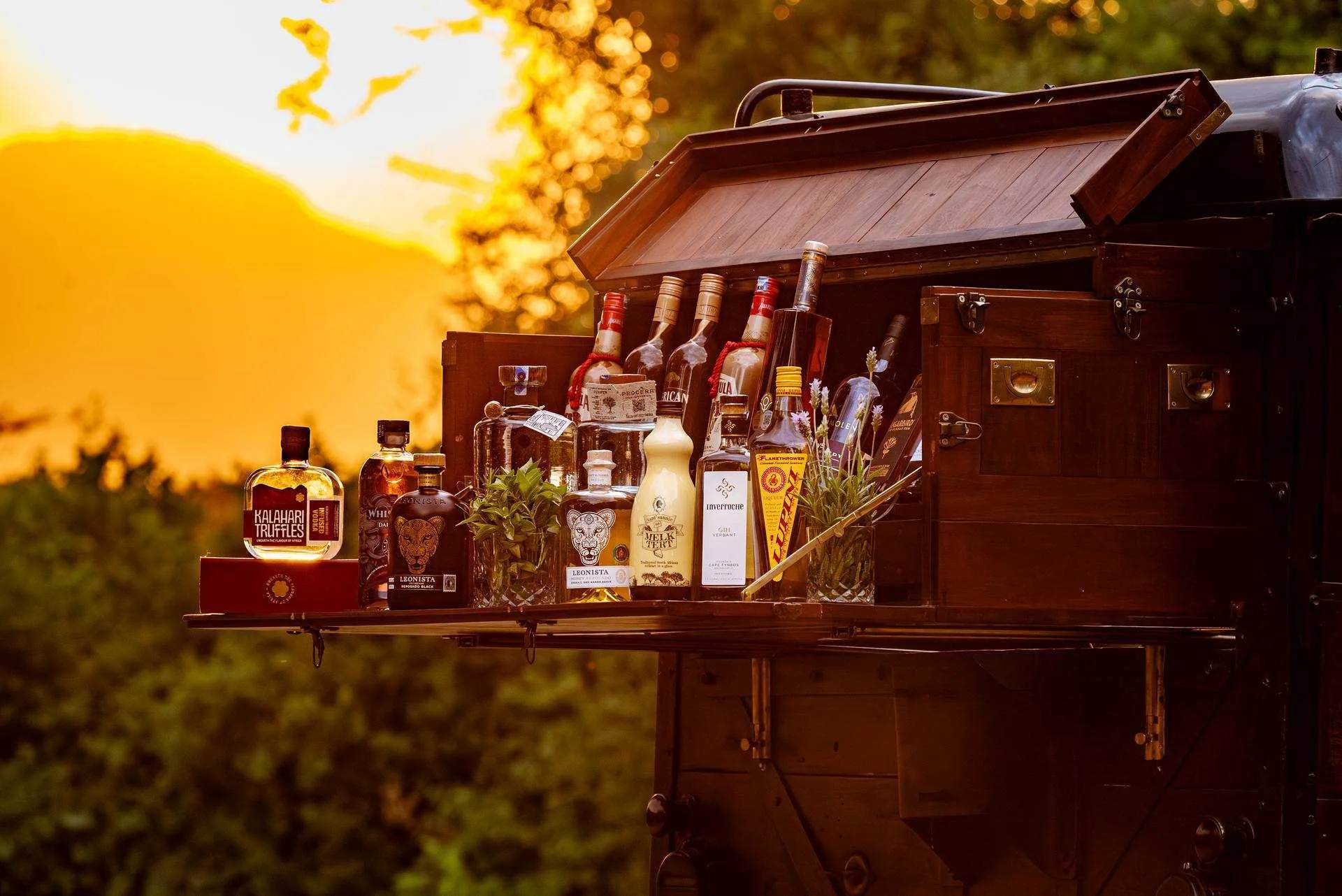 Sundowner-Bar unter einem Baum in der Abendsonne