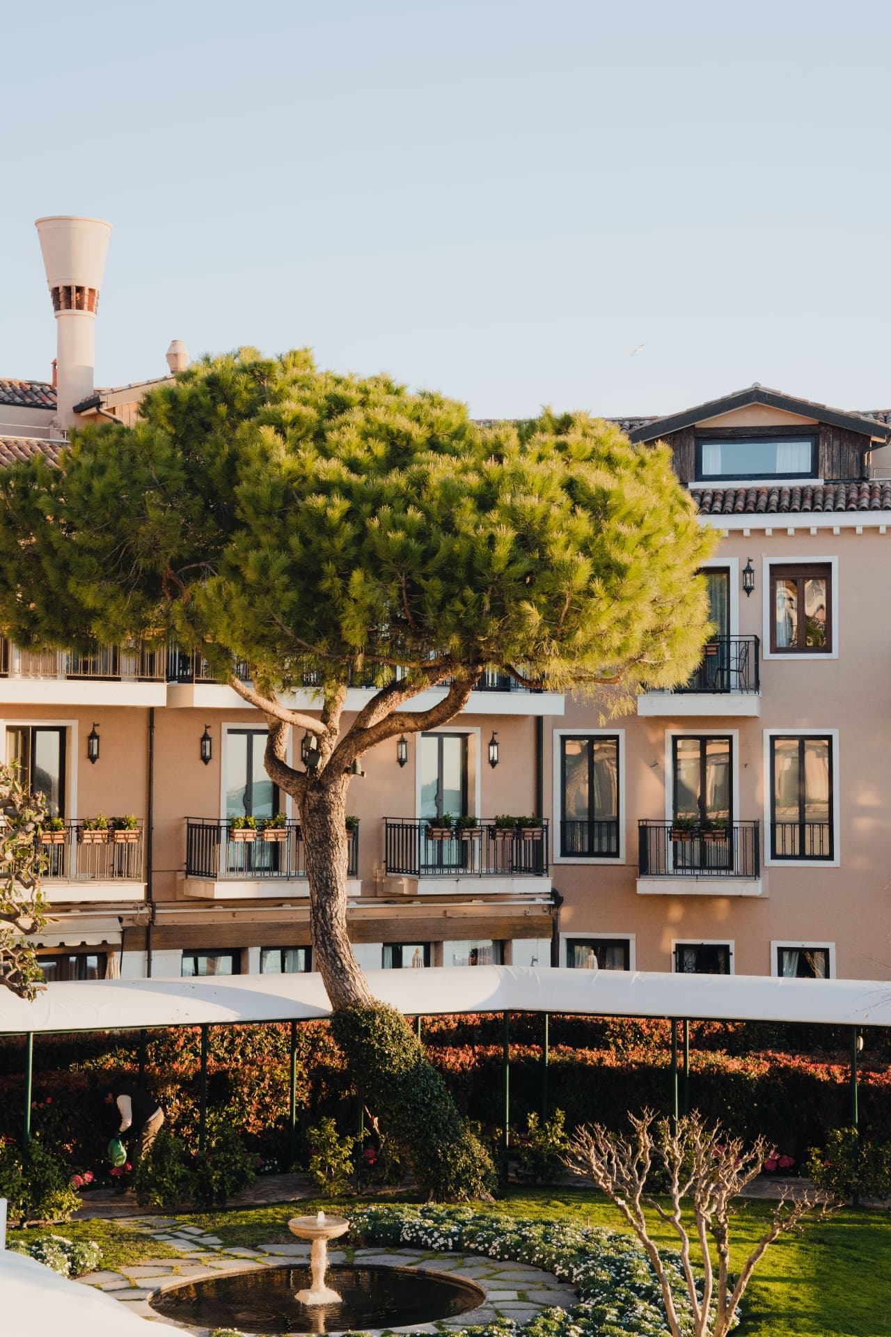 Pinie im Garten des Hotel Cipriani vor der rosafarbenen Fassade im Abendlicht