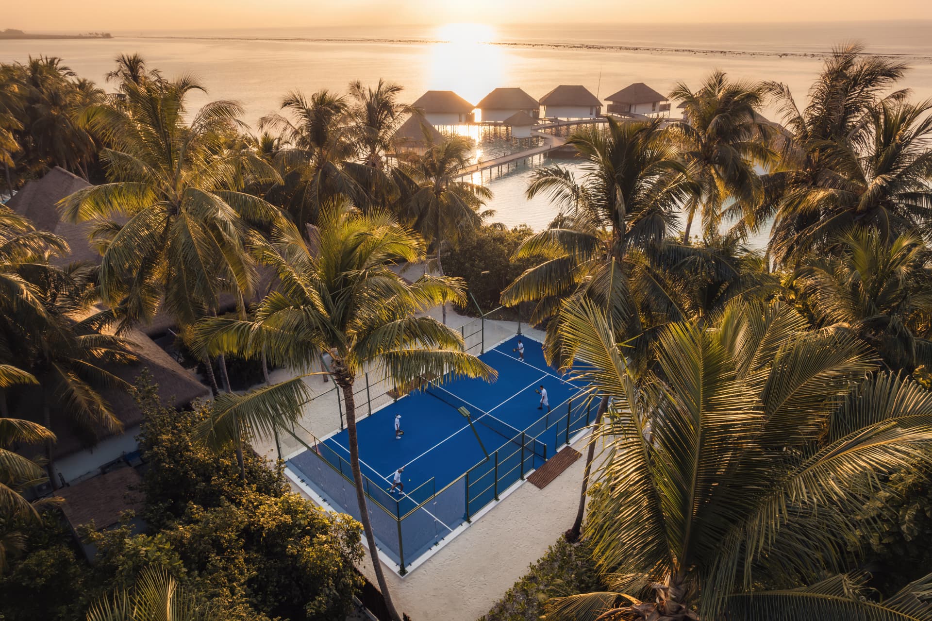 Padel-Platz zwischen Palmen im Licht des Sonnenaufgangs