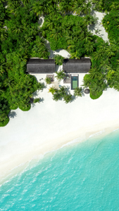 Senkrechte Luftaufnahme einer Villenresidenz mit privatem Pool zwischen dichtem Palmengrün am weißen Sandstrand