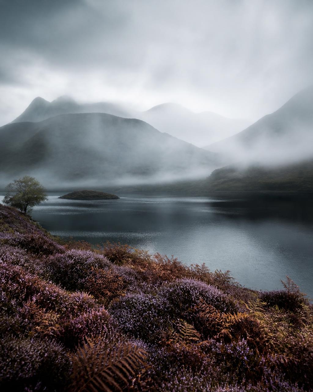 Morgennebel steigt über einem Highland-Loch auf, violette Heide und bronzenes Farnkraut im Vordergrund, dahinter verwitterte Berge in grauen Schichten