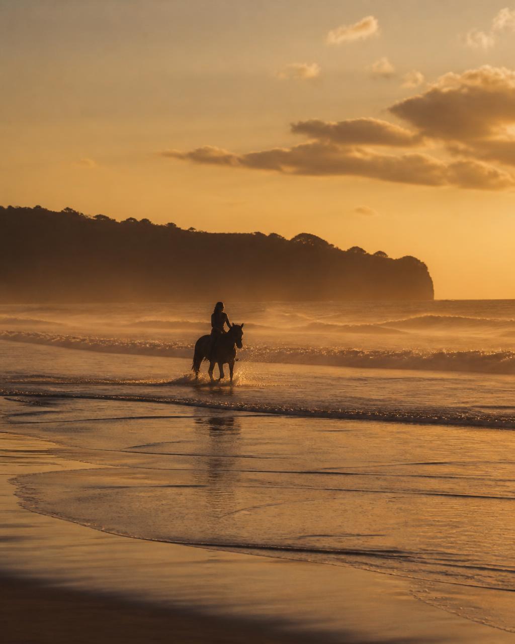 A lone rider on a Sumbanese horse walking through shallow surf on an empty beach at sunset, backlit spray and Indian Ocean waves