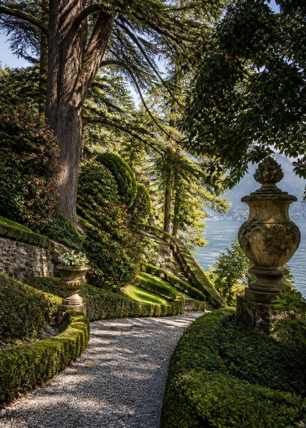 Terraced Italian garden above Lake Como with gravel path, box hedges, stone urns and a century-old cedar tree