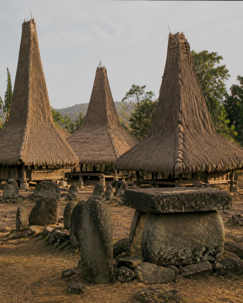 Traditional Sumbanese village with tall peaked thatched clan houses and megalithic stone tombs in warm late afternoon light