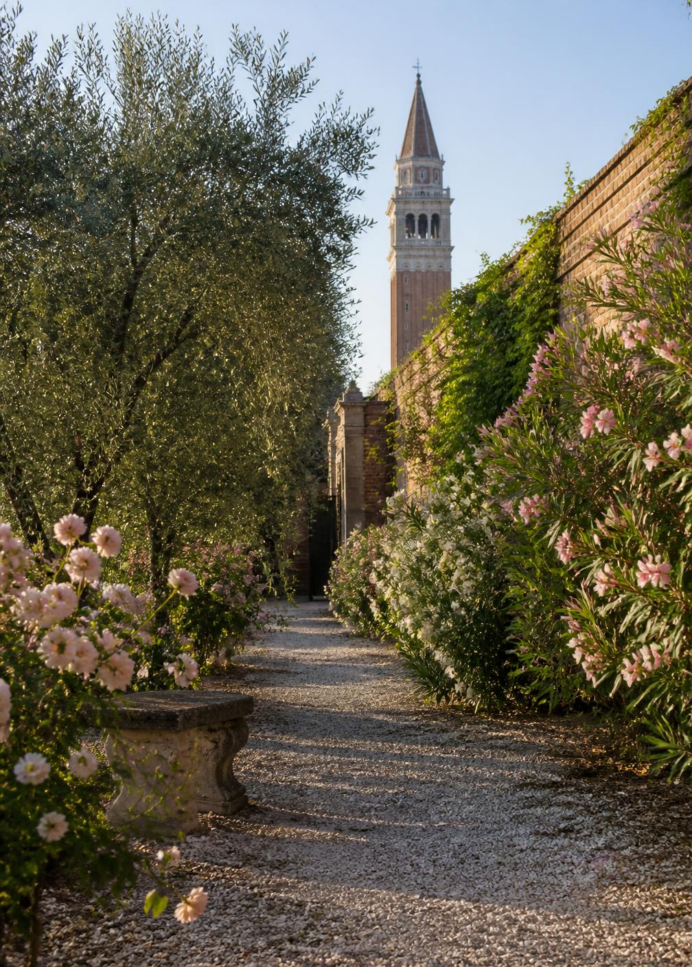 Private walled Venetian garden with gravel path, roses, oleander and olive trees below a brick campanile