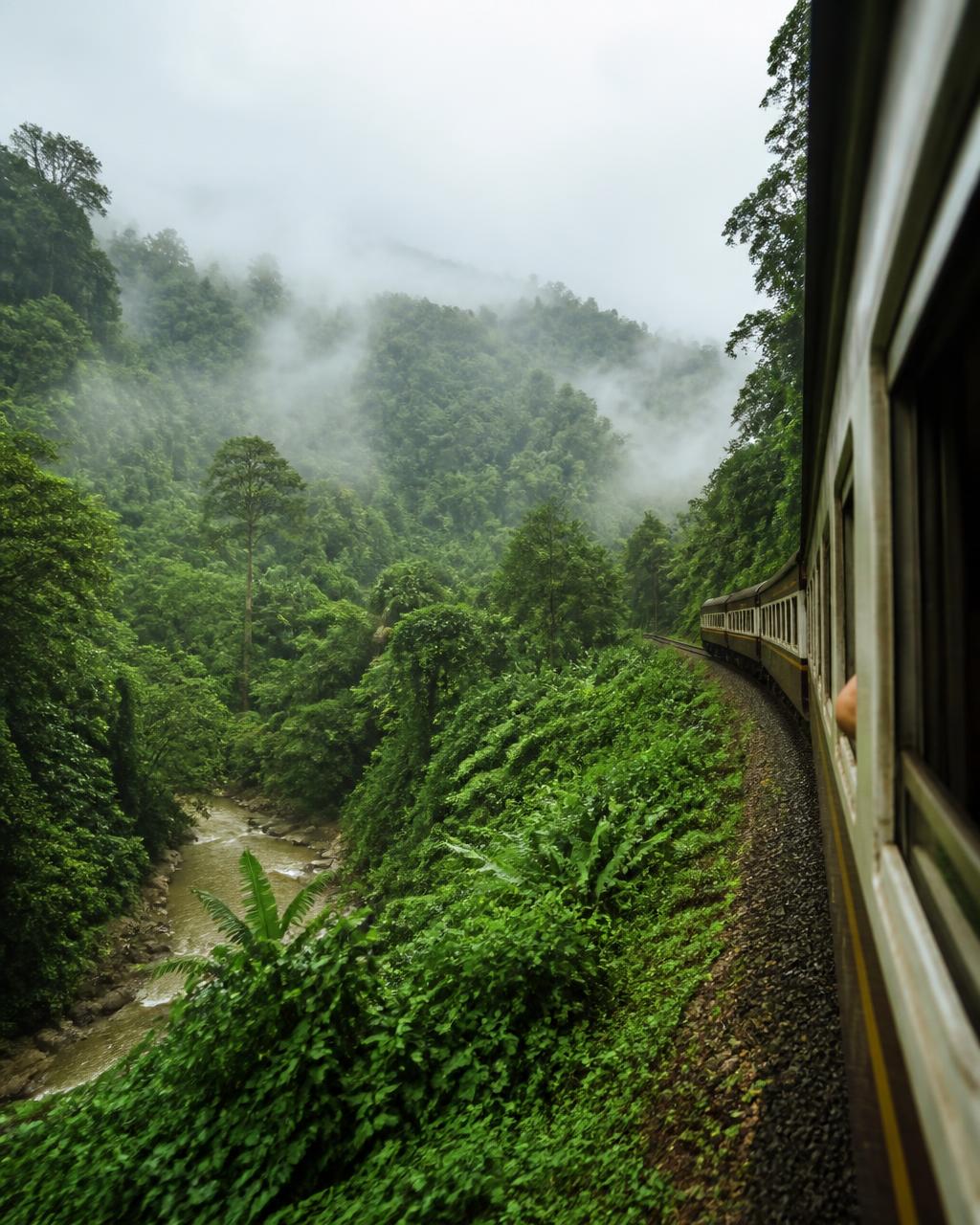Dense emerald Malaysian rainforest with mist lifting between trees and a river winding below the railway line