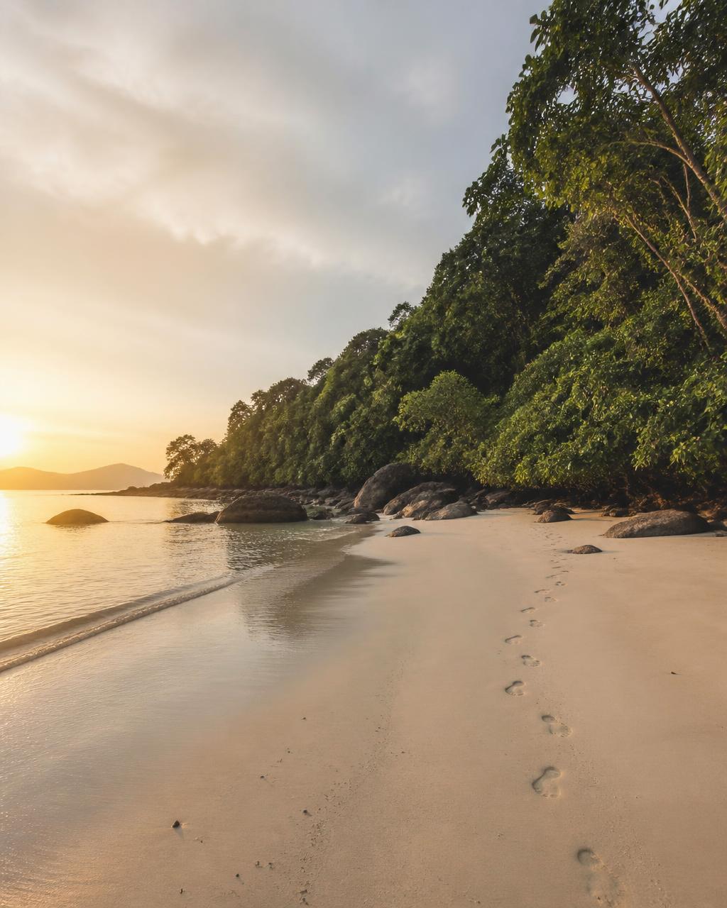 Empty white sand beach at sunrise on Datai Bay Langkawi with calm emerald Andaman Sea and rainforest growing to the shoreline