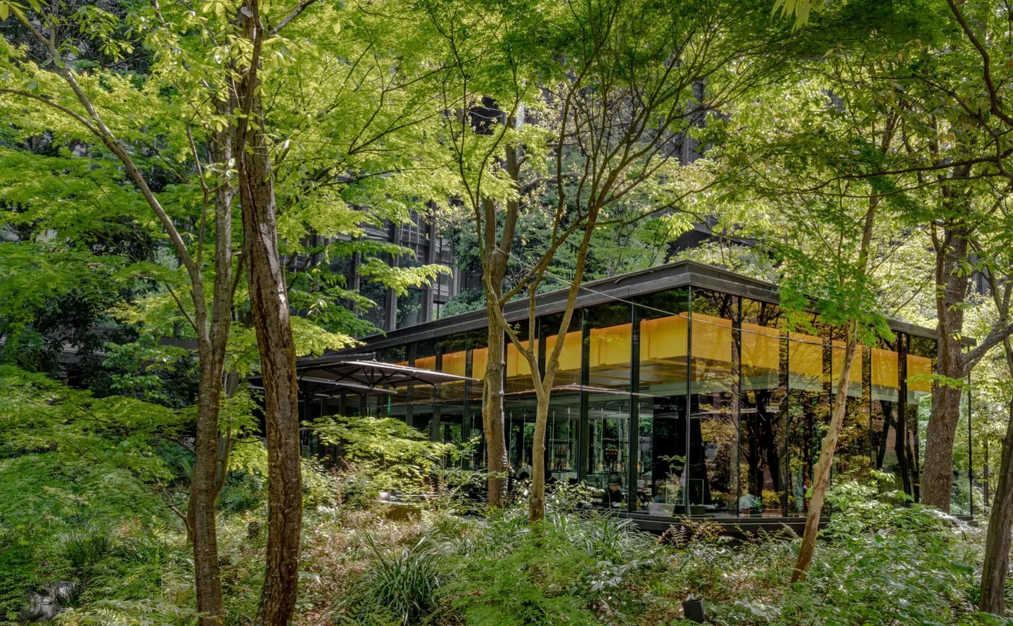 Gläserner Pavillon des Cafés zwischen Ahornbäumen, warmes Licht unter der Decke