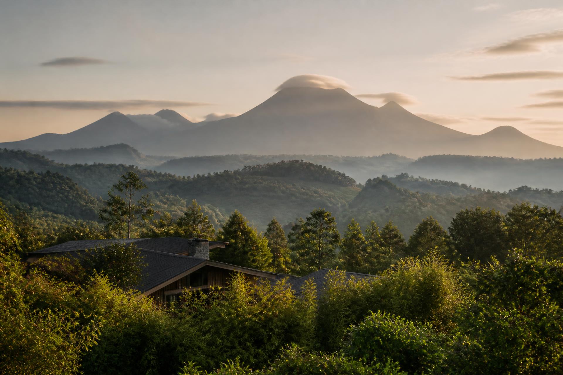 The Virunga Volcanoes of Rwanda at sunrise in soft mist above eucalyptus forest, with the timber roofs of a lodge emerging among the trees