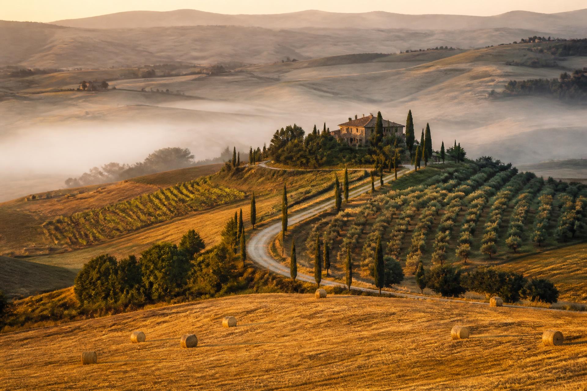 Golden hour over the Val d'Orcia: rolling hills, a cypress-lined white road, vineyards, olive groves and a stone farmhouse above drifting morning mist