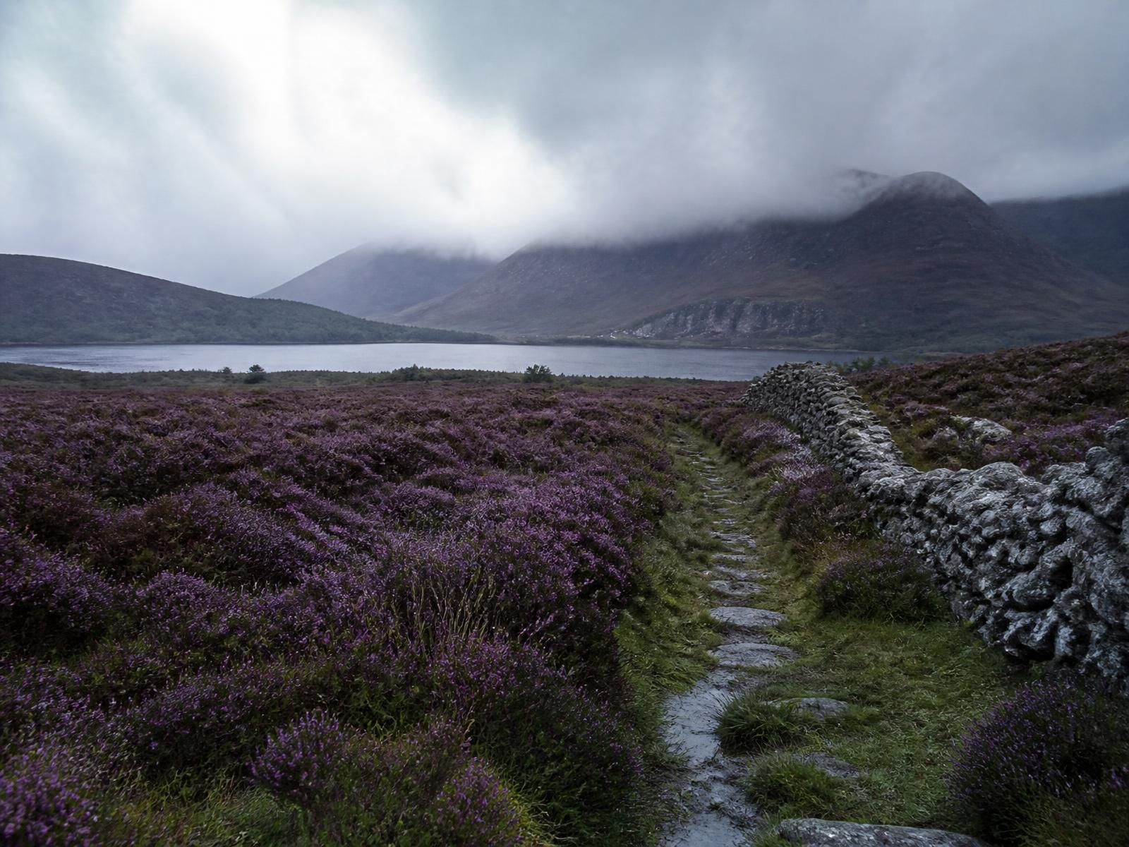 Ein Steinpfad durch violettes Heidemoor zu einem Highland-Loch, mit Wolken über den Bergen