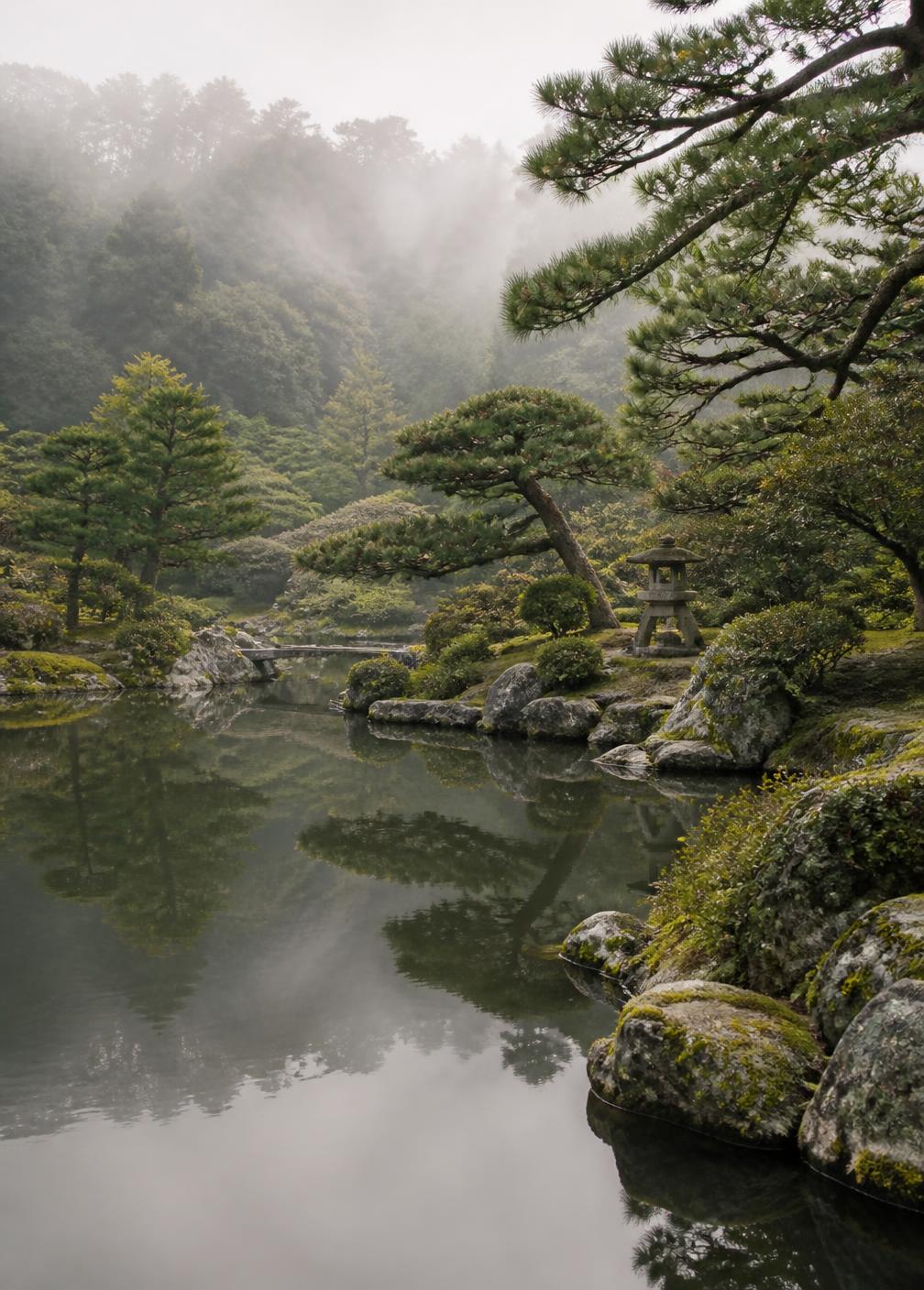 Japanese garden pond with clipped pines and moss reflected in still water under morning mist
