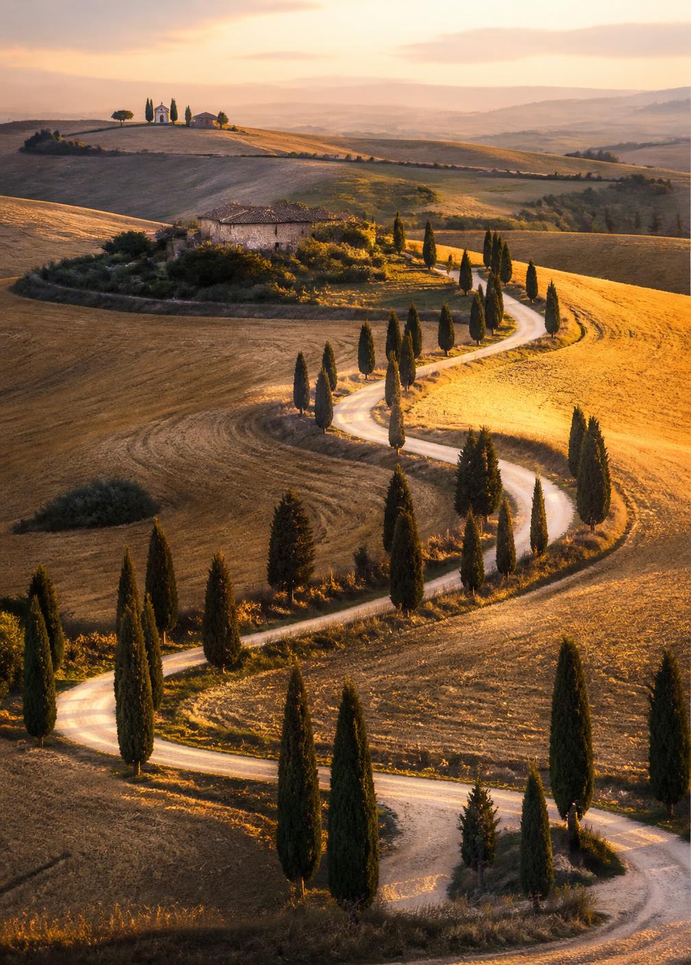 Winding cypress-lined white road through the Val d'Orcia at golden hour with wheat fields and a distant chapel