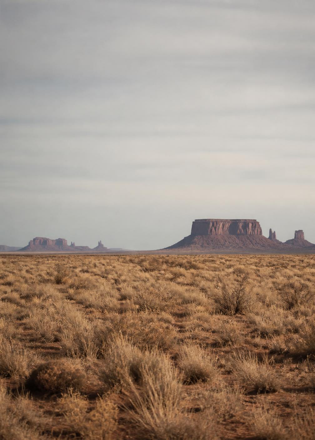 Empty desert plain of dry grasses with distant buttes under a pale wide sky