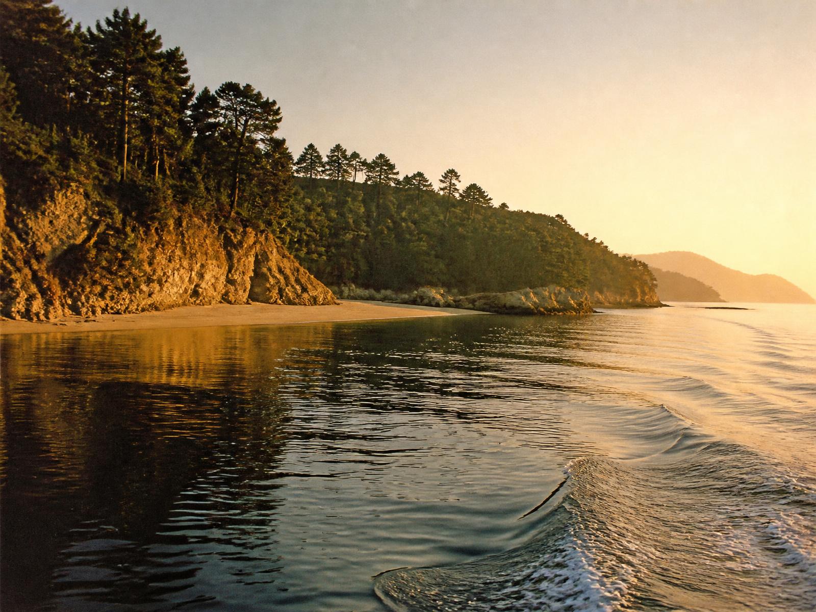 Remote pine-covered island coastline at golden hour seen from the water, with an empty beach and a soft wake on glassy sea